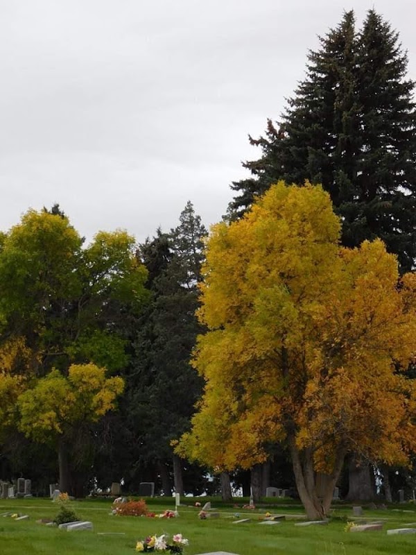 Sheridan Municipal Cemetery grounds