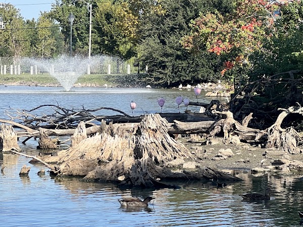 Sidney D Torres Memorial Park grounds