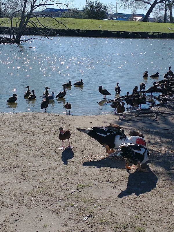 Sidney D Torres Memorial Park grounds