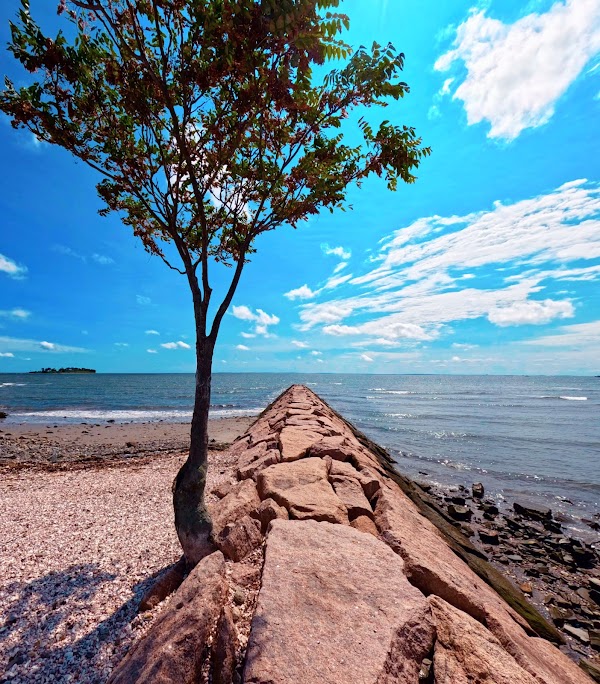 Silver Sands State Park grounds