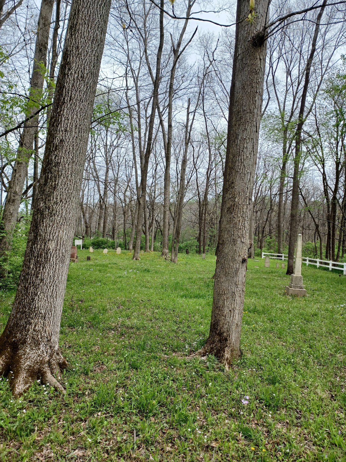 Silvey Cemetery cemetery grounds and headstones