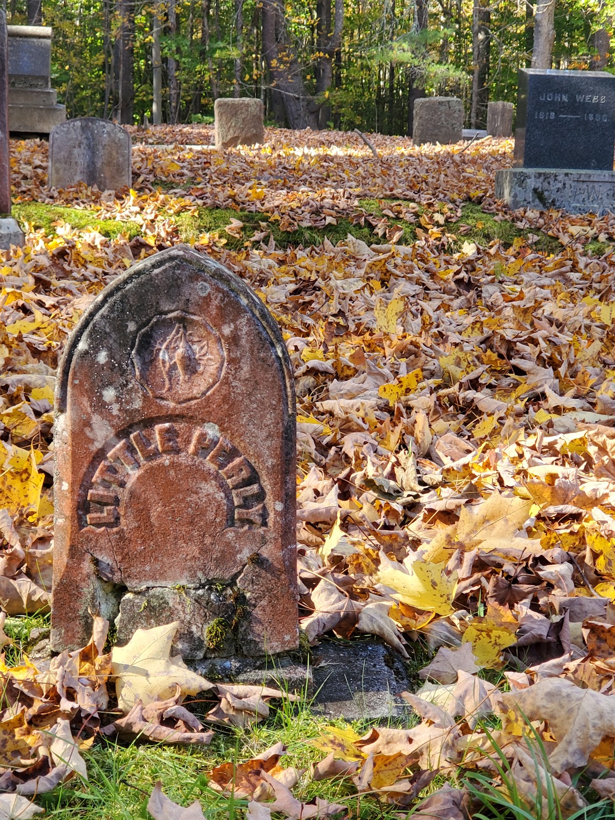 Smith-Anderson Cemetery cemetery grounds and headstones