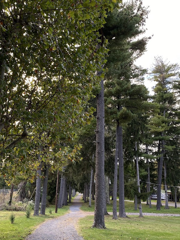 Soldiers and Sailors Memorial Park grounds