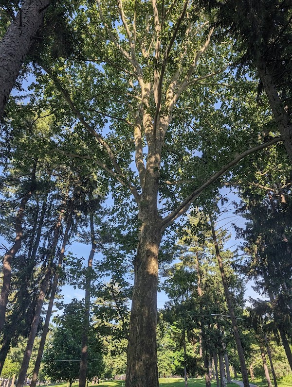 Soldiers and Sailors Memorial Park grounds