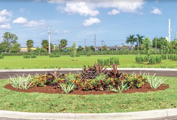South Florida Jewish Cemetery grounds