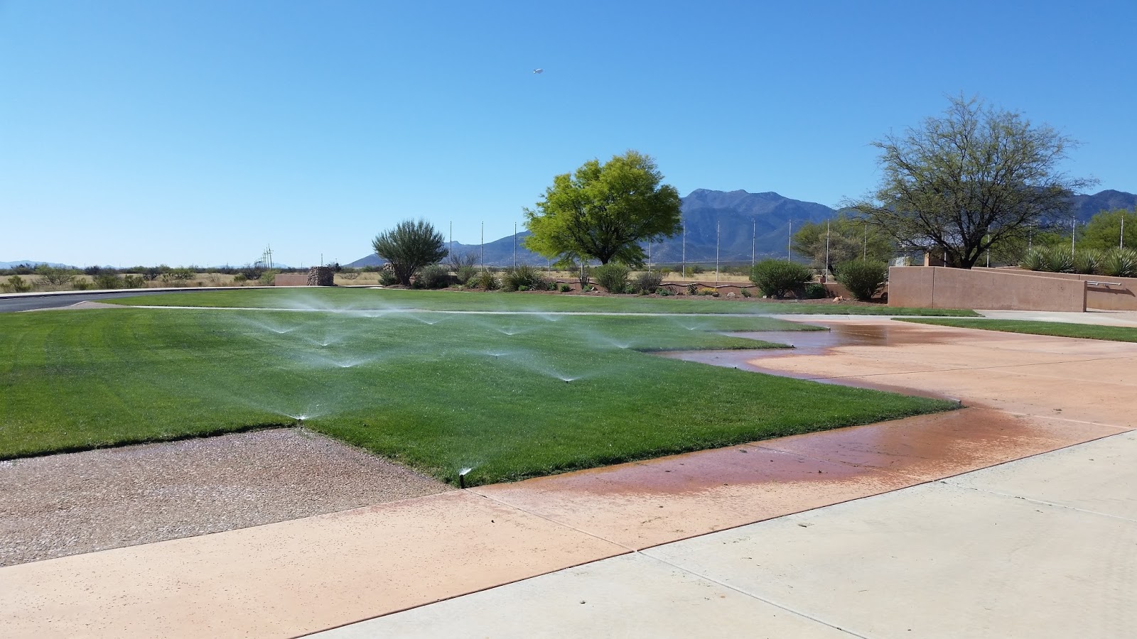 Southern Arizona Veterans' Memorial Cemetery cemetery grounds and headstones