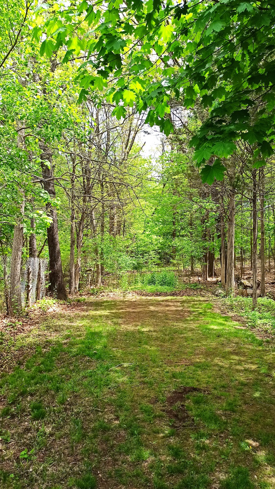 Southington Memorial Park cemetery grounds and headstones