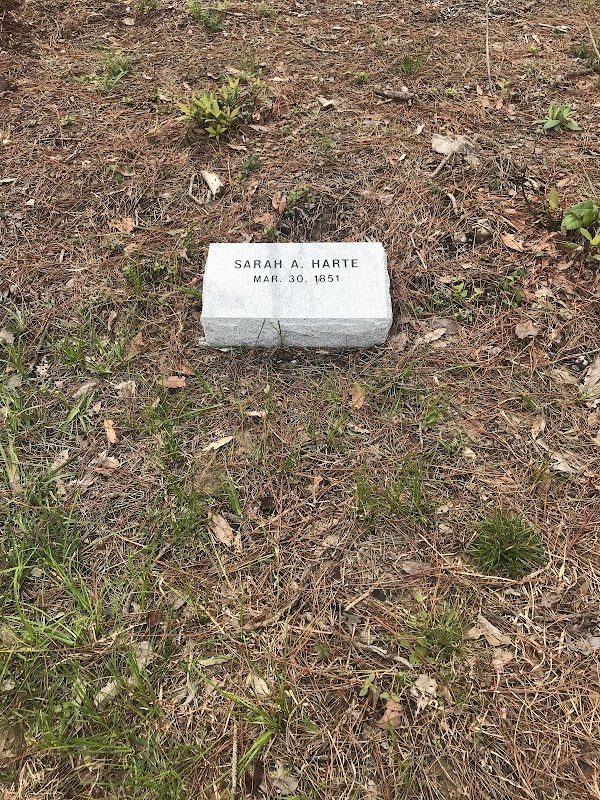 Spring Branch Church Cemetery grounds