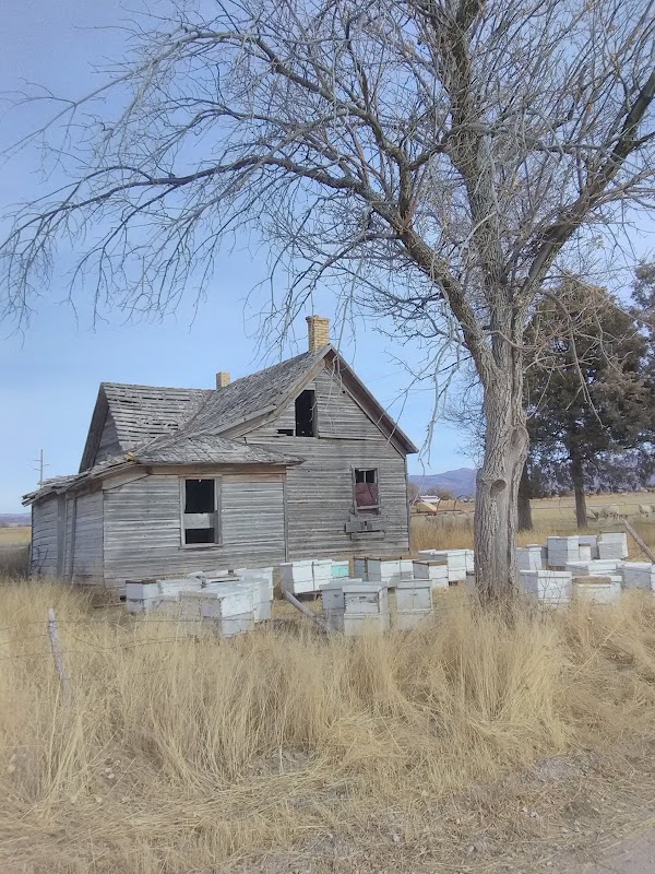 Spring City Cemetery grounds