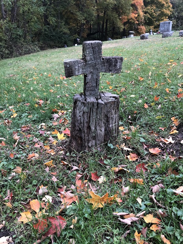 Spring Vale Cemetery grounds