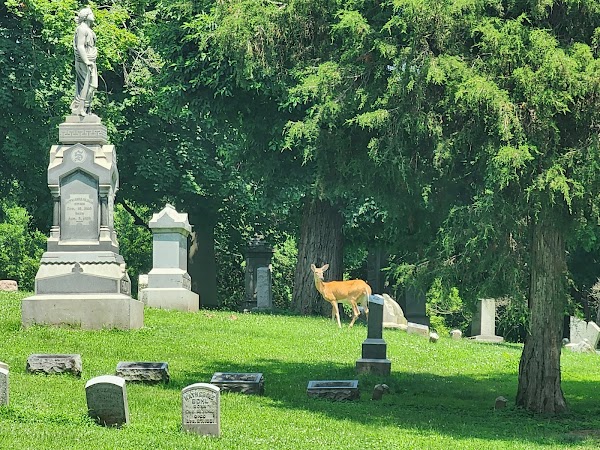 Springdale Cemetery grounds