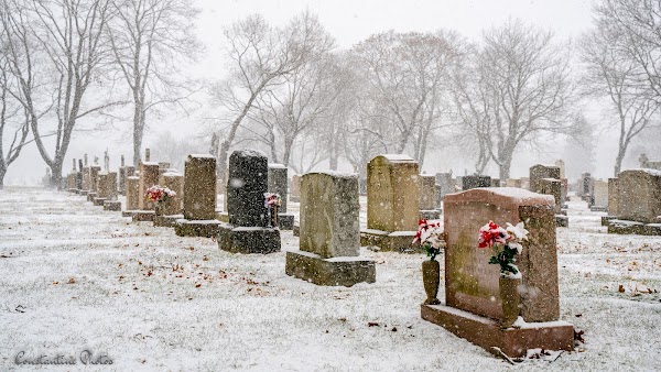 St. Ann Cemetery grounds