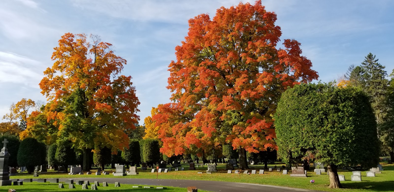 St. Joseph Cemetery cemetery grounds and headstones