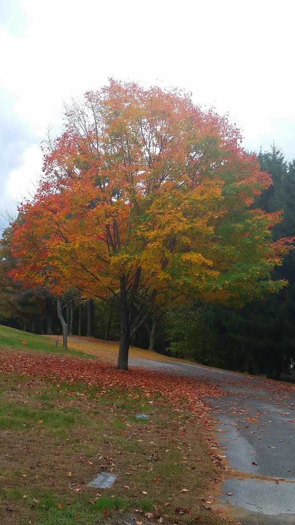 St. Joseph Cemetery grounds