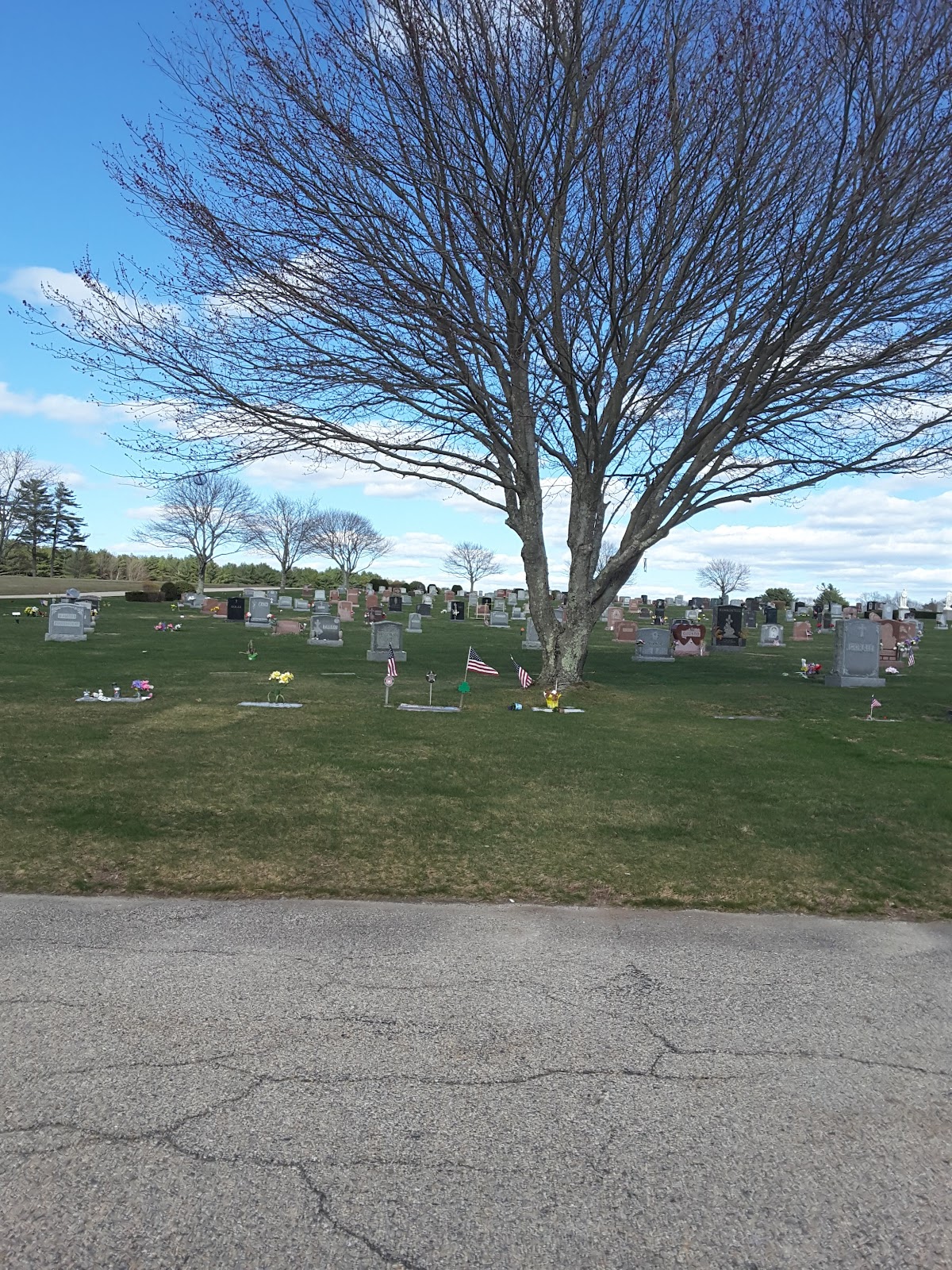 St Joseph's Cemetery cemetery grounds and headstones