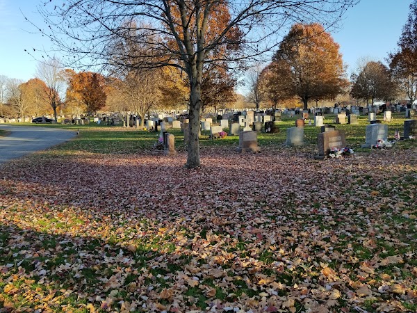 St. Mary Cemetery grounds