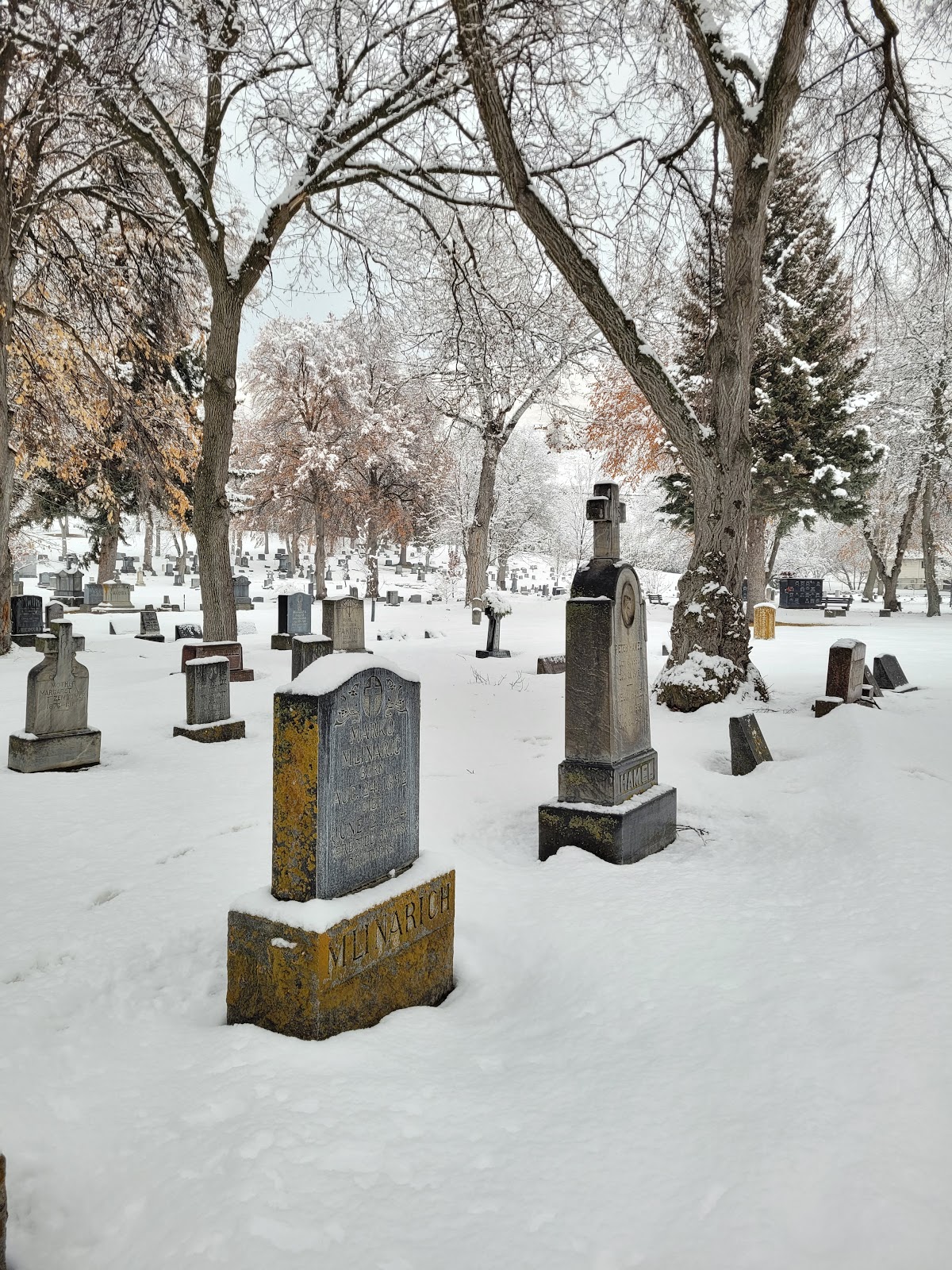 St. Mary's-Turner Cemetery cemetery grounds and headstones