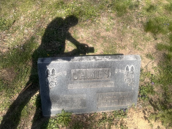 St Peter's Cemetery grounds