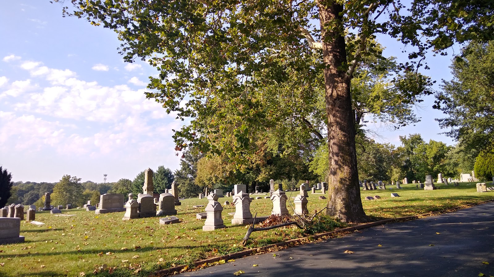 St Peter's Cemetery cemetery grounds and headstones