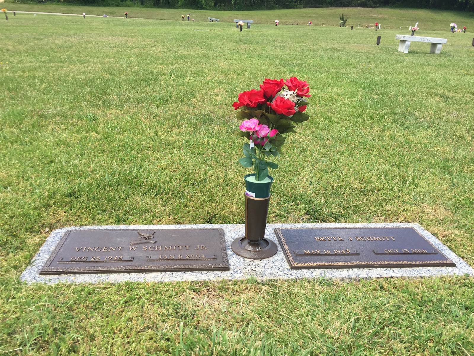 Stafford Memorial Park cemetery grounds and headstones