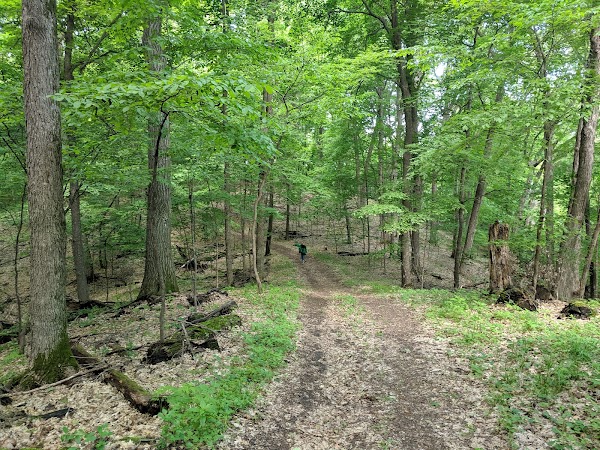 Stanley Eddy Regional Park - North Unit grounds