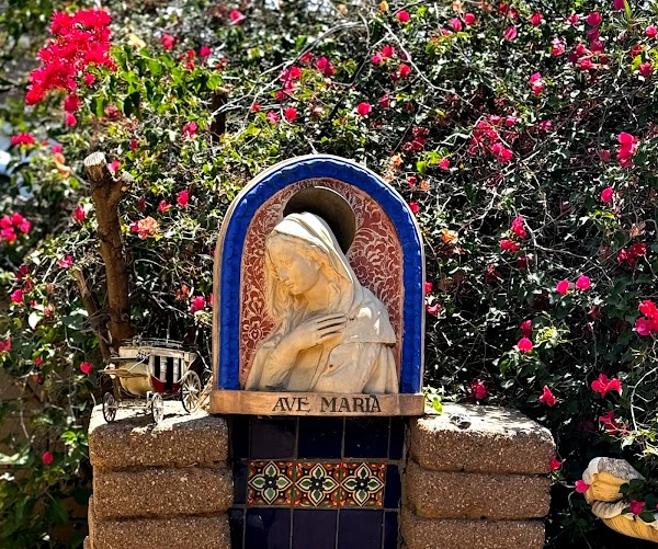 Starlight Memorial Park grounds