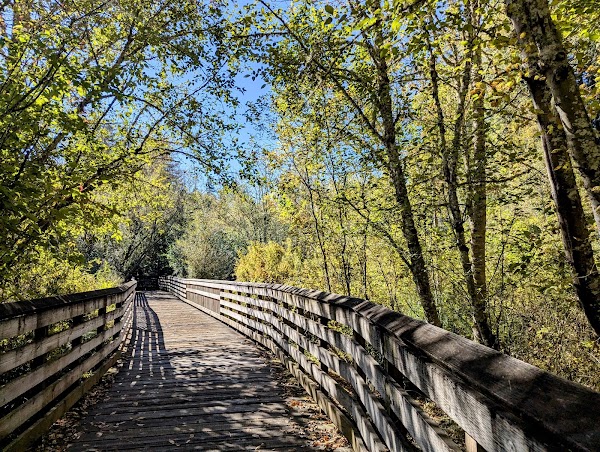 Stella Olsen Memorial Park grounds