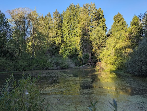 Stella Olsen Memorial Park grounds