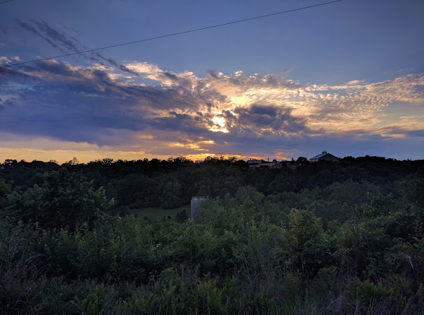 Sterling W. Wyatt Memorial Park grounds