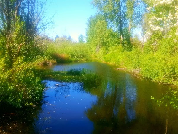 Steve Cox Memorial Park grounds