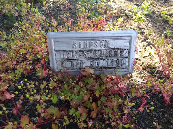 Straight Pioneer Cemetery grounds