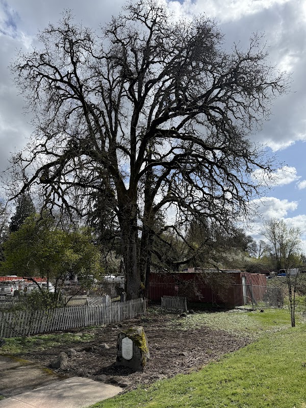 Straight Pioneer Cemetery grounds