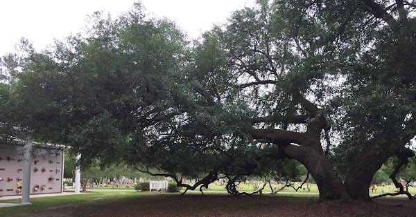 Summerville Cemetery & Mausoleum; operated by Parks Funeral Home grounds