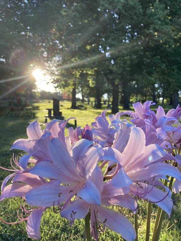 Sunset Cemetery grounds