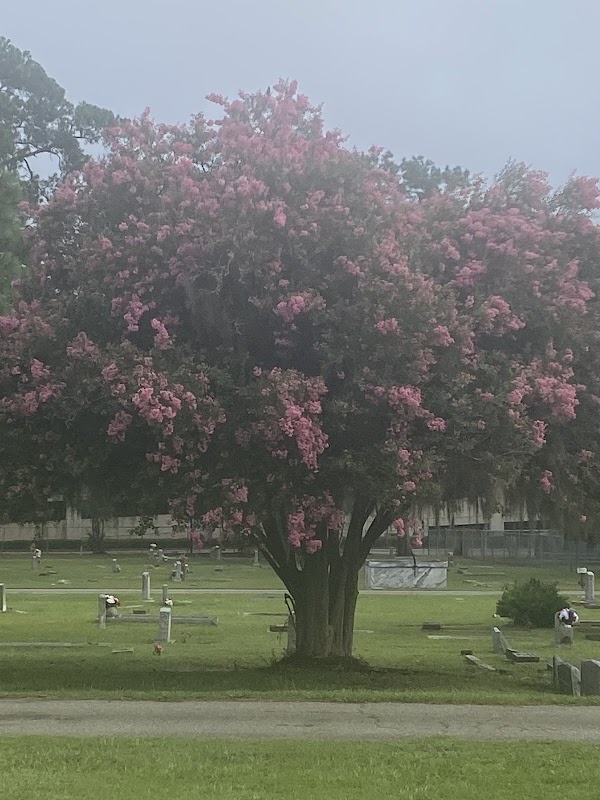 Sunset Hill Cemetery grounds