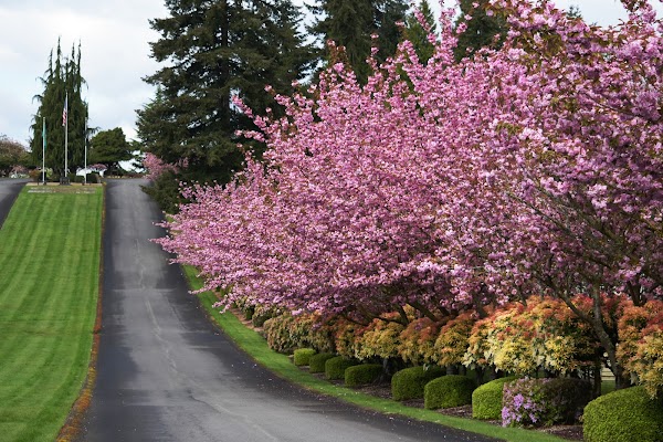 Sunset Hills Memorial Park grounds
