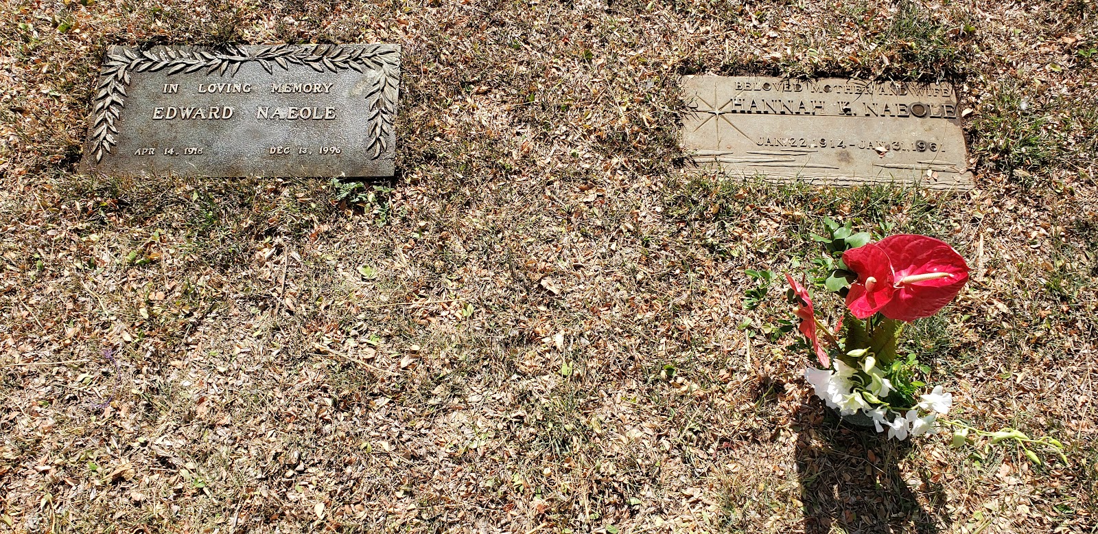 Sunset Memorial Park cemetery grounds and headstones