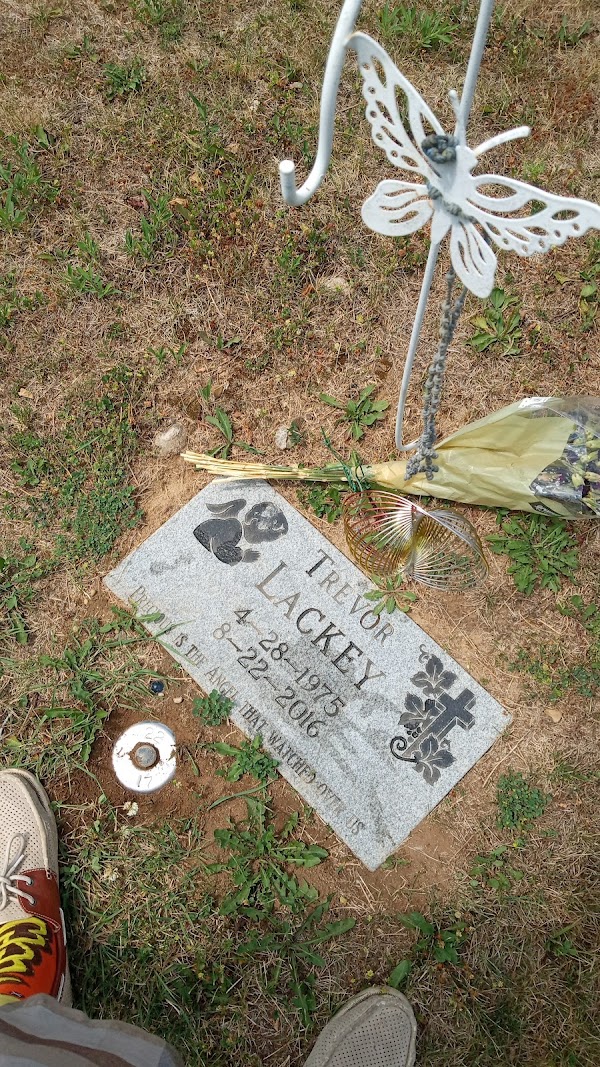 Sutherland Park Cemetery grounds