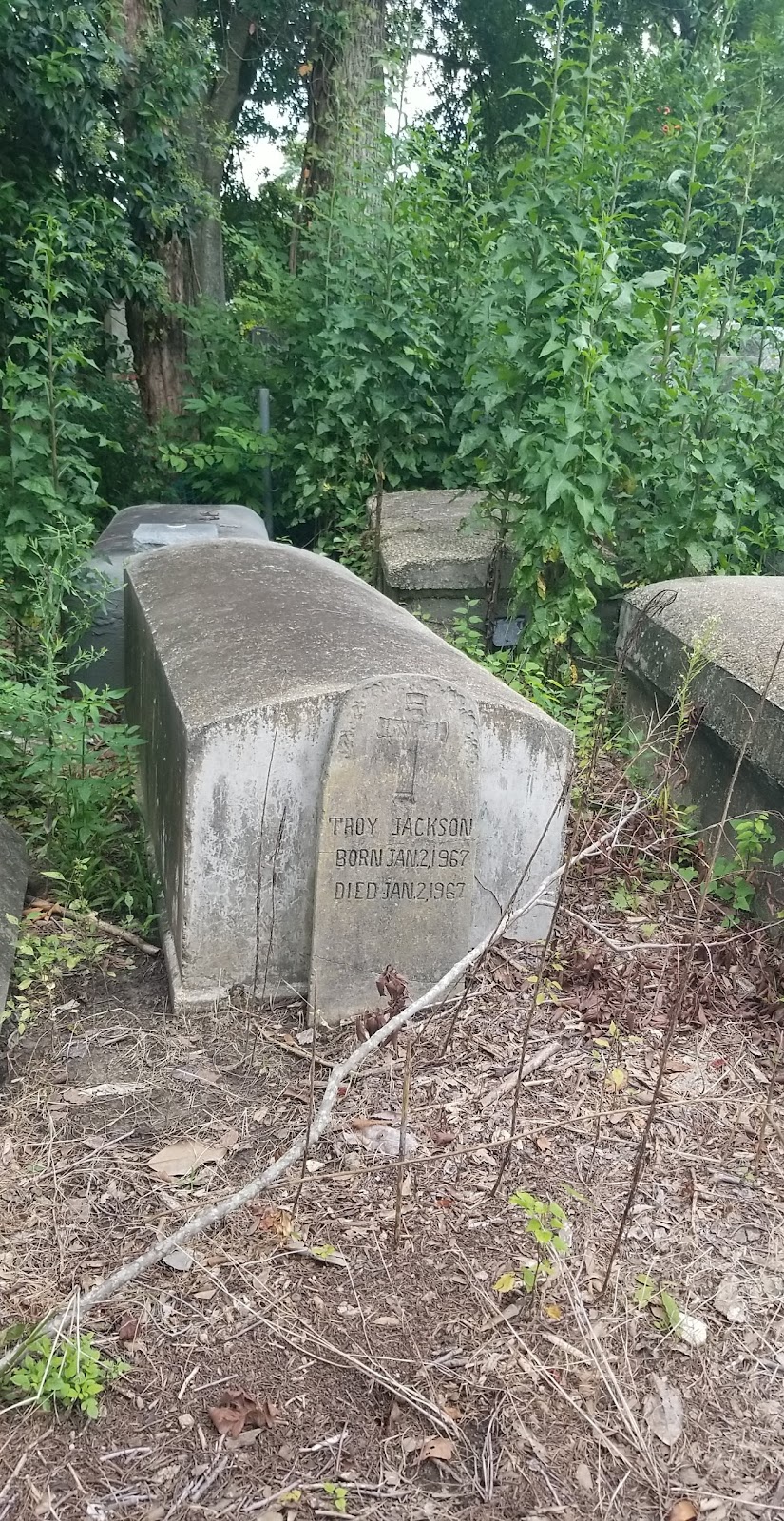 Sweet Olive Cemetery cemetery grounds and headstones