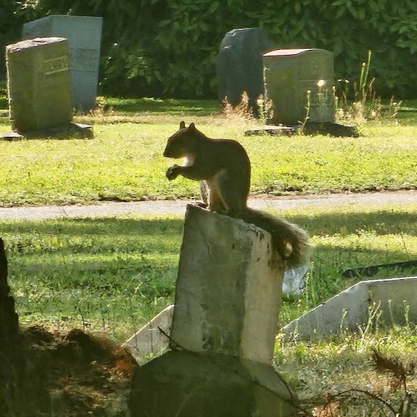 Tacoma Cemetery grounds