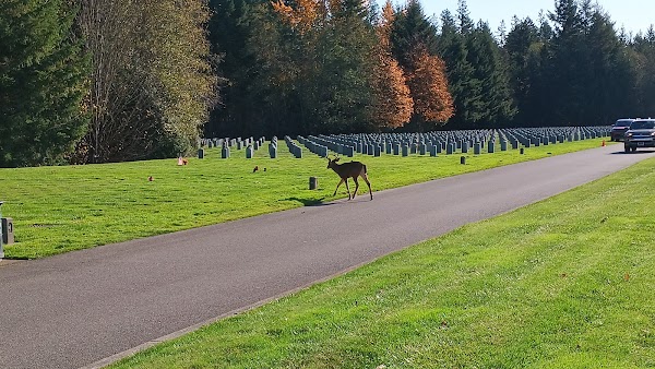 Tahoma National Cemetery grounds