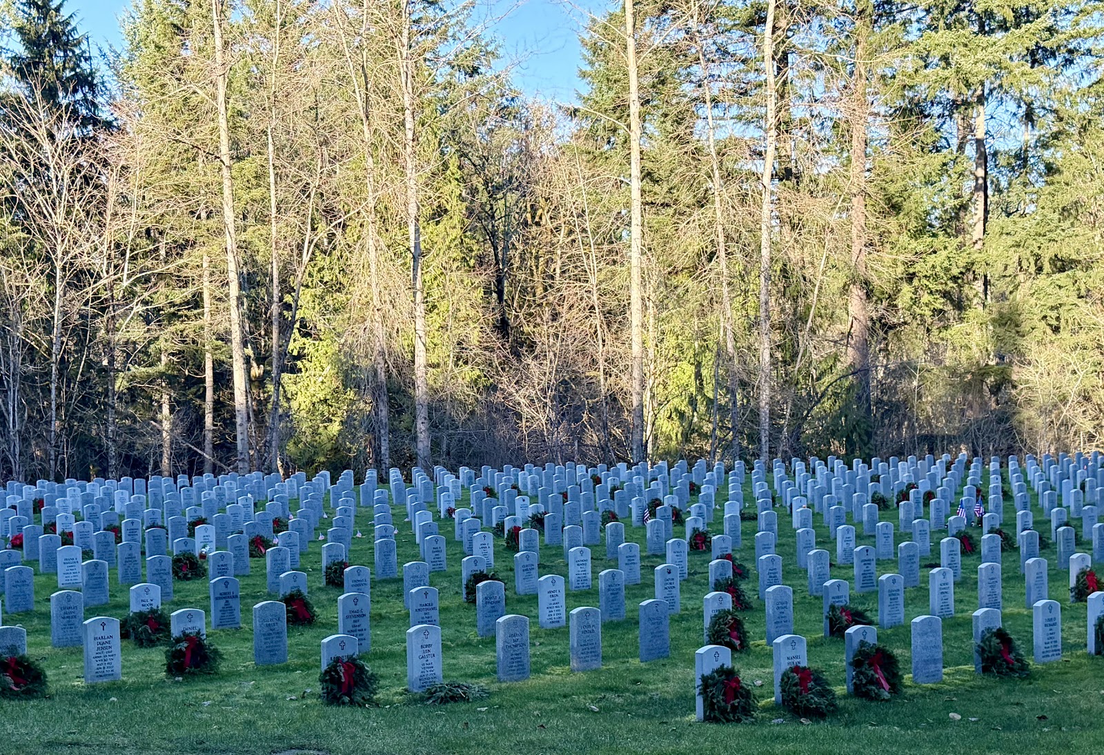 Tahoma National Cemetery cemetery grounds and headstones