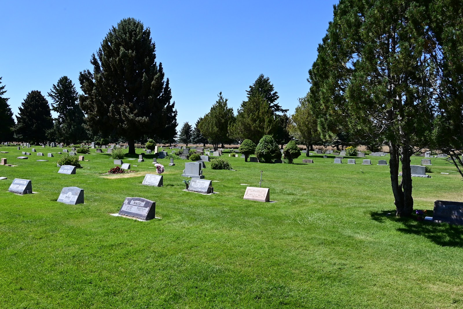 Taylor Cemetery District cemetery grounds and headstones