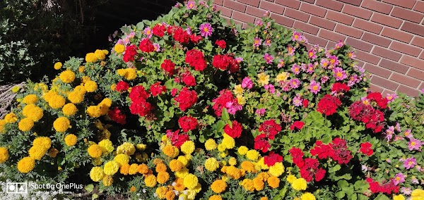 Terrace Heights Memorial Park grounds