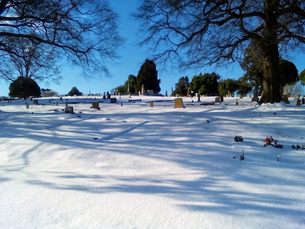 The Florence City Cemetery grounds