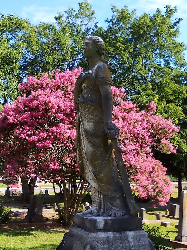 The Florence City Cemetery grounds