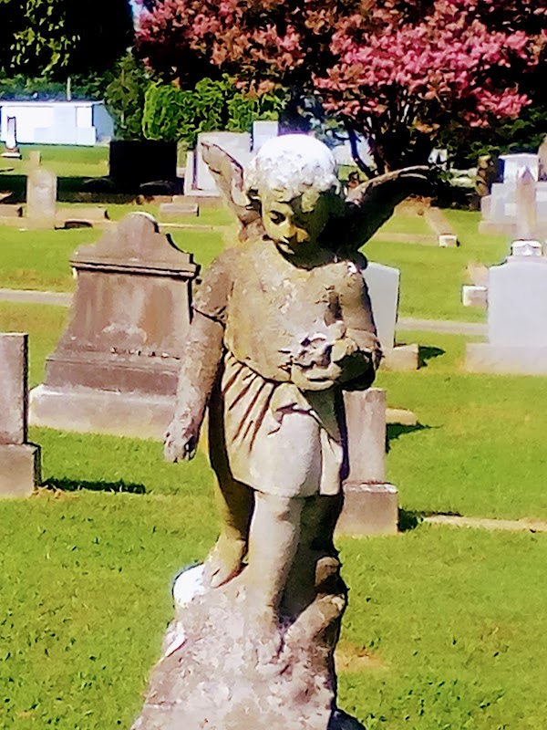 The Florence City Cemetery grounds