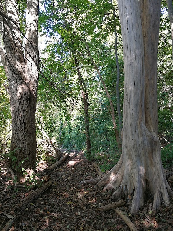 The Tony Anniballi Memorial Park grounds