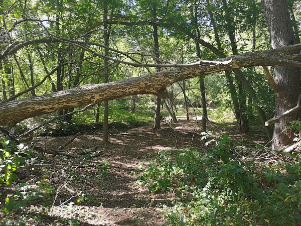 The Tony Anniballi Memorial Park grounds