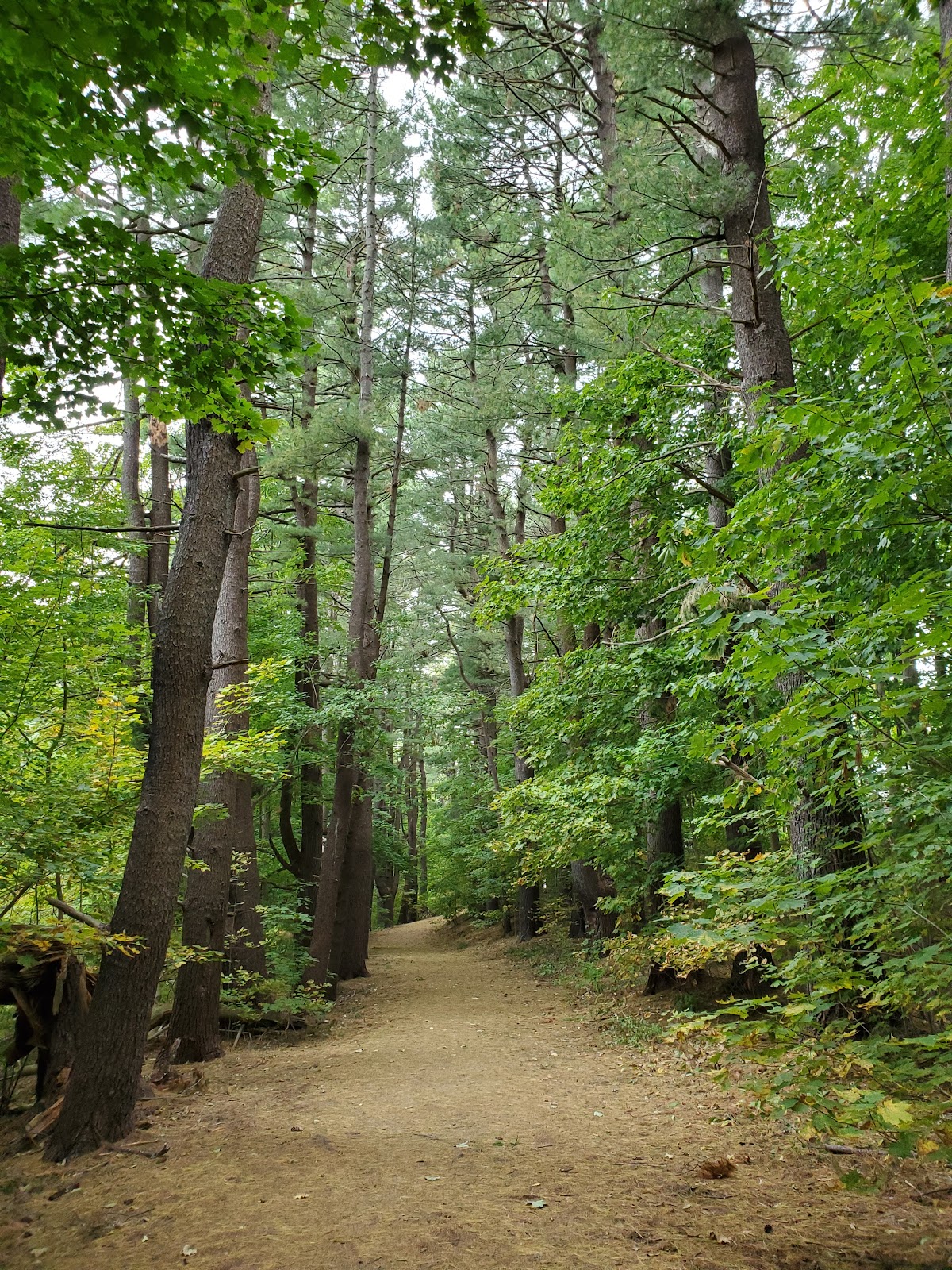 The Tony Anniballi Memorial Park cemetery grounds and headstones